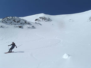 Skiing Skiing
